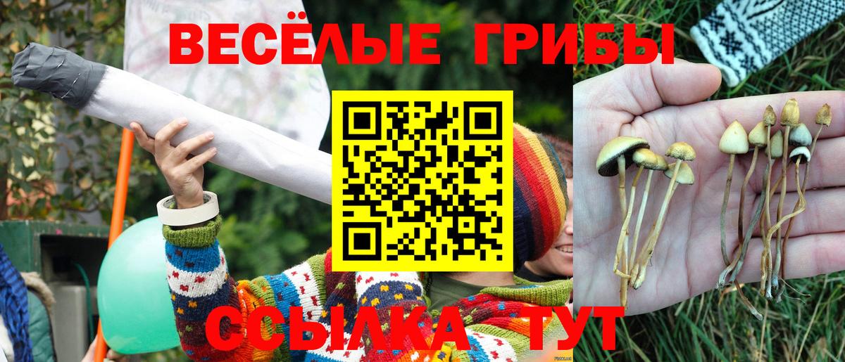 Псилоцибиновые грибы прущие грибы  Вход с VPN  Ликино-Дулёво  Галлюциногенные грибы прущие грибы 
